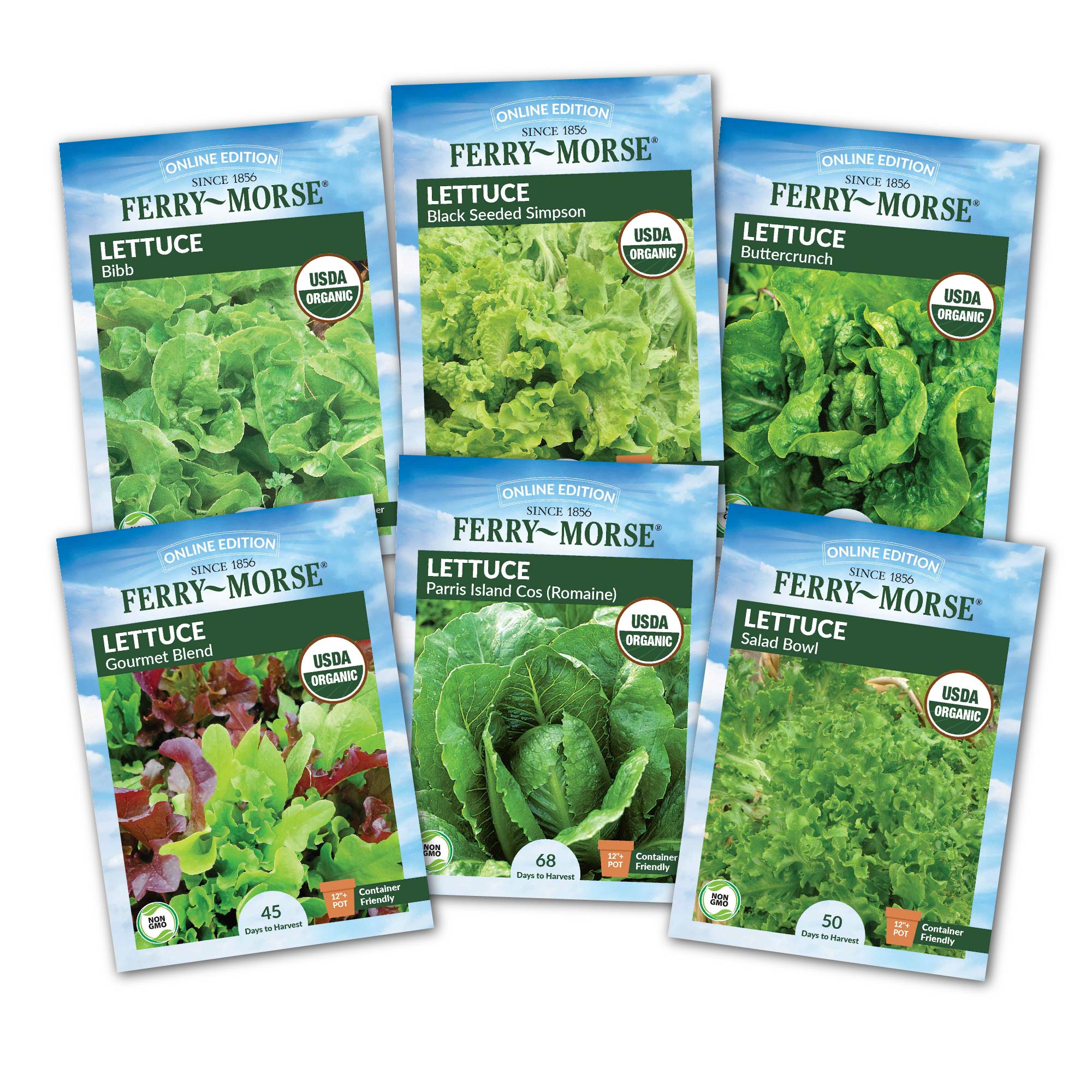 A collection of six seed packets labeled for various varieties of lettuce, all from Ferry-Morse. Each packet displays an image of the mature lettuce plant.